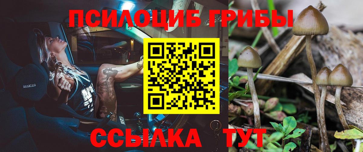 Псилоцибиновые грибы прущие грибы Комсомольск-на-Амуре